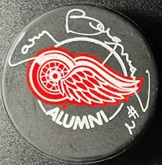 PuckBergman2
