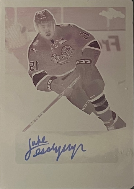 Leschyshyn1