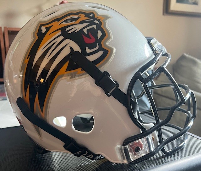 HamiltonHelmet1a