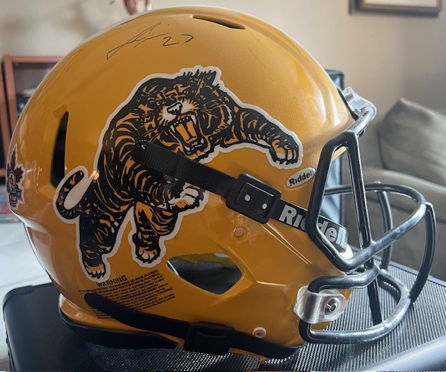 HamiltonHelmet2a