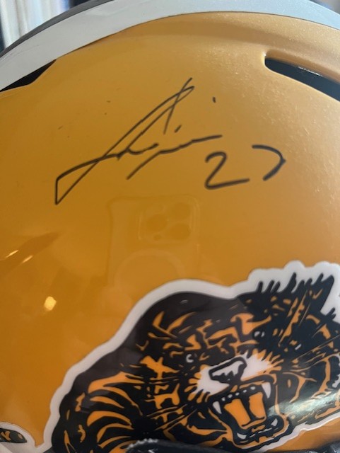 HamiltonHelmet2b